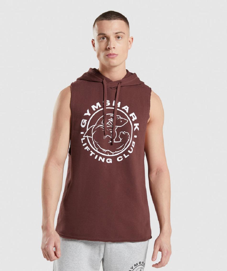 Sudadera Con Capucha Gymshark Legacy Drop Arm Hombre Rosas Marrones | CO 3636JPQ